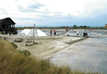 L’antica Salina Camillone a Cervia
